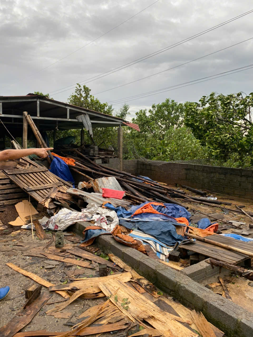 Hình ảnh hoạt động 6